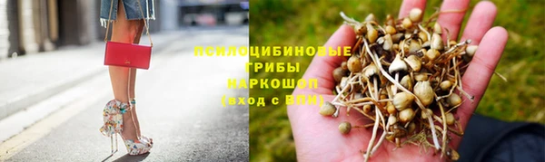 каннабис Баксан