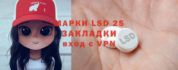 шишки Балахна