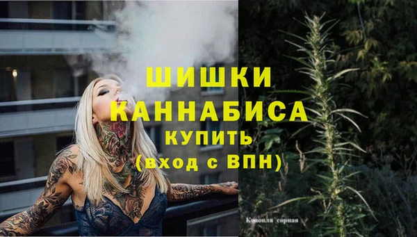 шишки Балахна