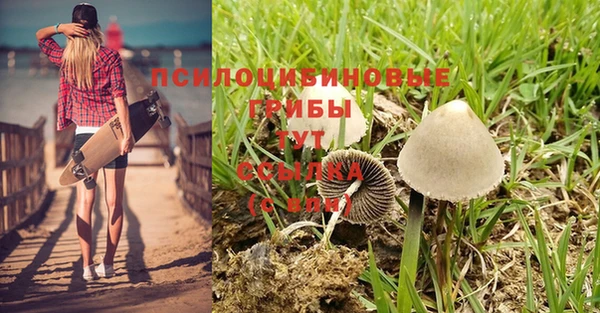спайс Балабаново
