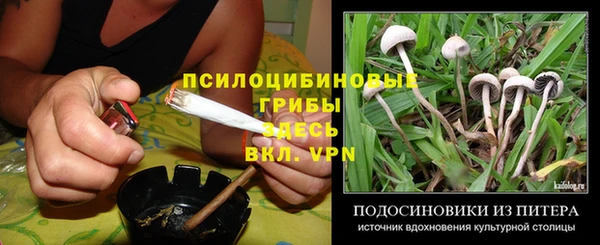 каннабис Баксан
