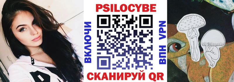 магазин  наркотиков  Ладушкин  Псилоцибиновые грибы Psilocybe 
